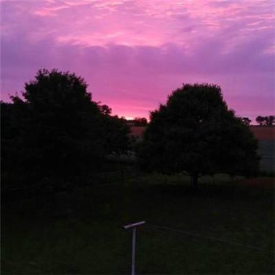 大发彩票app手机app下载