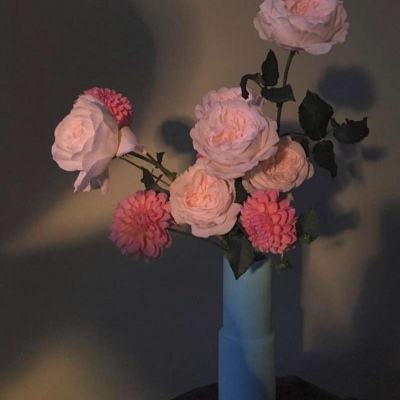 kok下载-登录入口截图