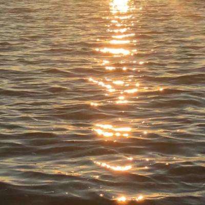 NG体育手机app下载